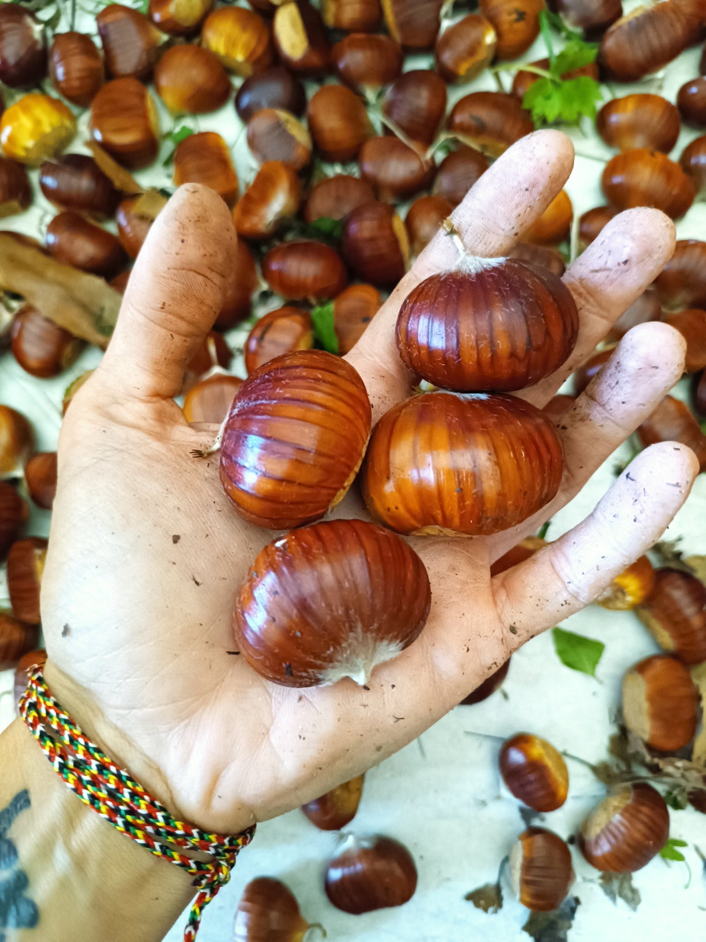 Crema di castagne 190g
