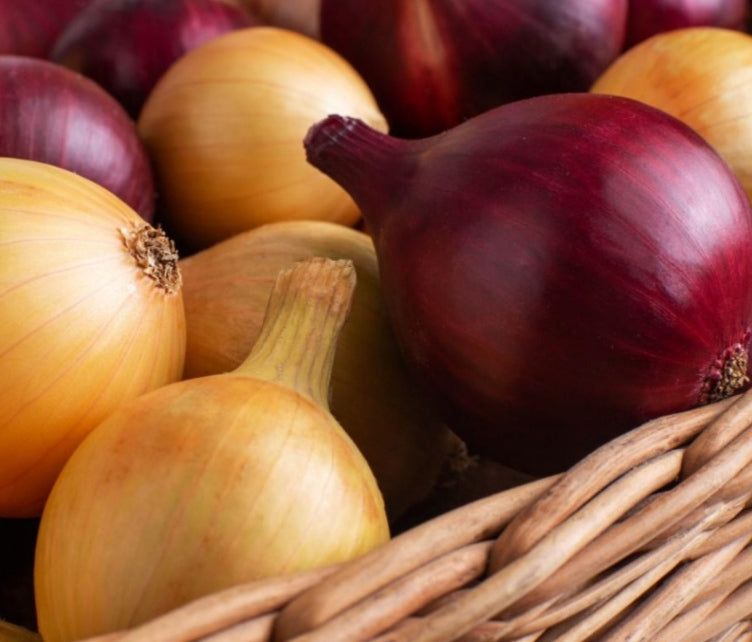 Cipolle in agrodolce 110g